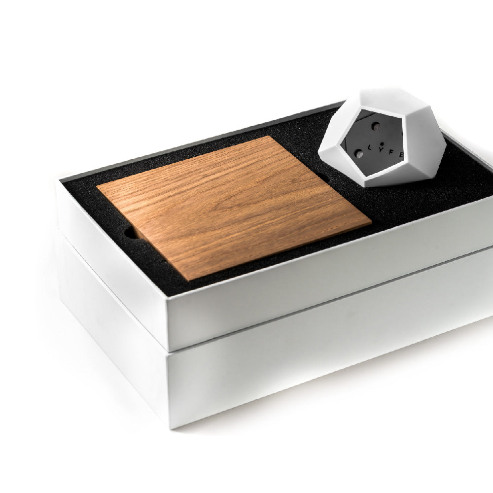 FLYTE levitating planter - LYFE packaging inside