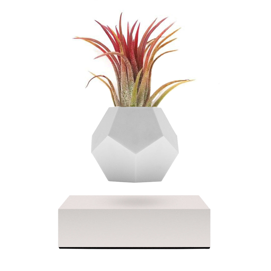 Levitating planter Lyfe, white cover base option, on a white background