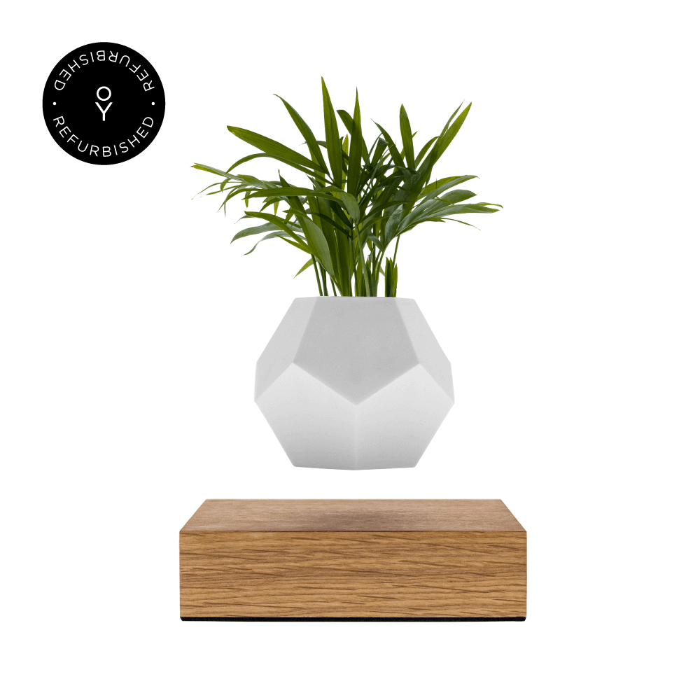 Levitating planter Lyfe by Flyte, oak magnetic base version, product photo on a white background with refurbished tag