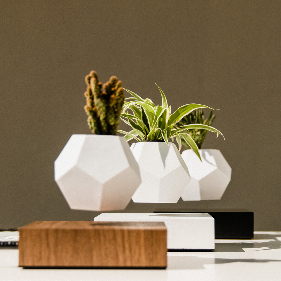 Three levitating planters Lyfe, walnut, white and black version in a row on a light background
