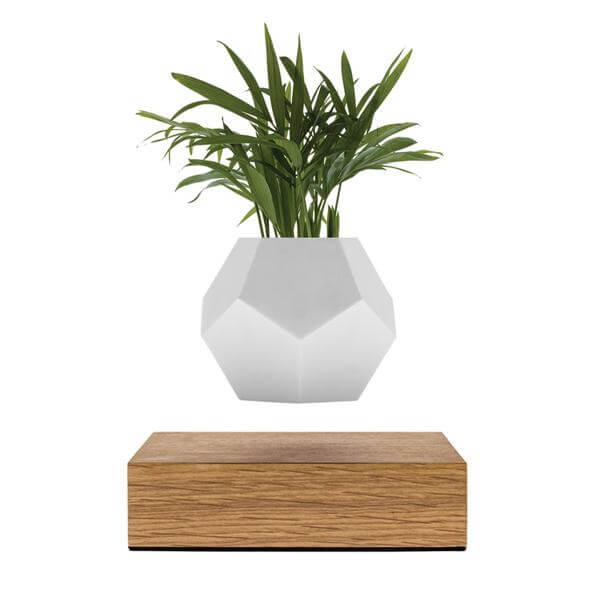 Product photo of a levitating planter Lyfe, oak wood base option on a white background