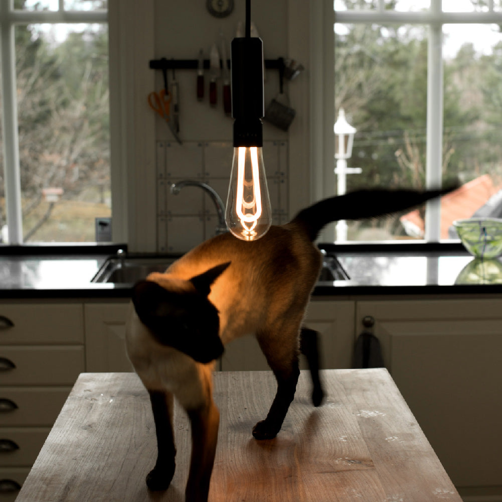 Arc LED light bulb hanging in kitchen