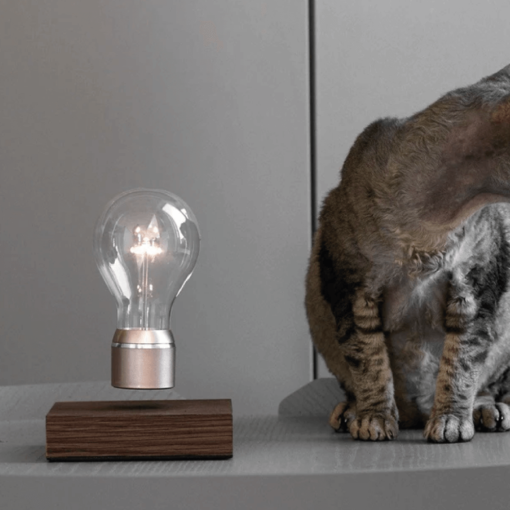 Levitating light bulb Light by Flyte, walnut base with copper cap bulb in a interior setting with a cat sitting next to it