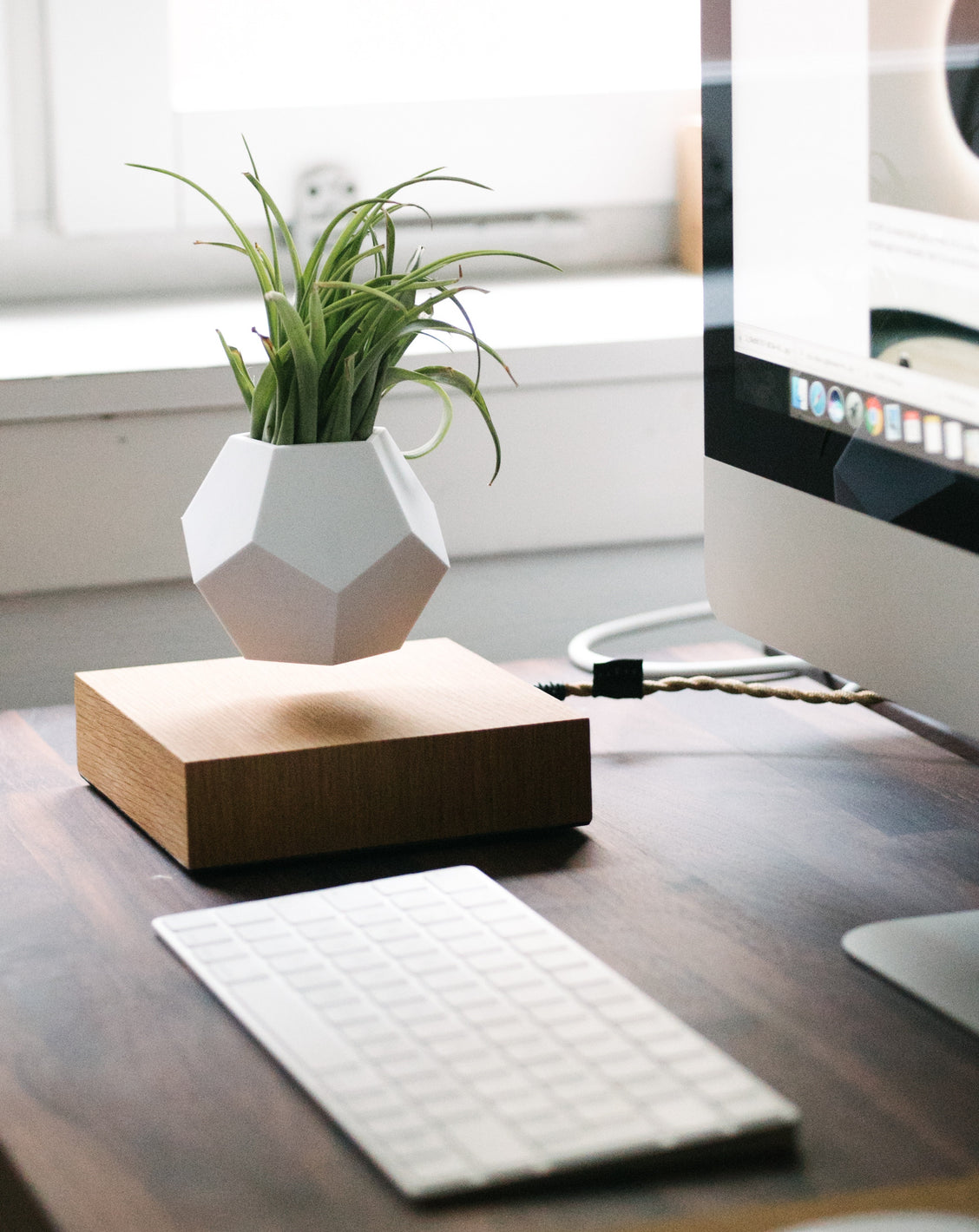 Lifestyle image of LYFE levitating planter in office enironment