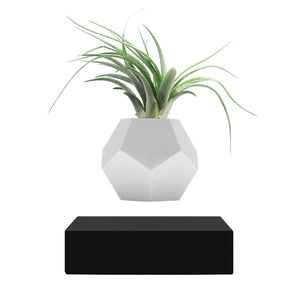 Levitating planter Lyfe, black cover base option on a white background