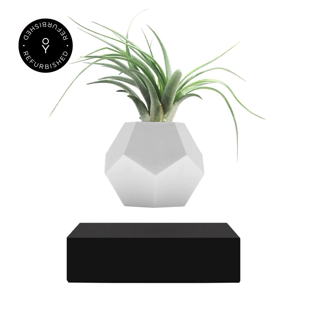 Levitating planter Lyfe by Flyte, black magnetic base version, product photo on a white background with refurbished tag