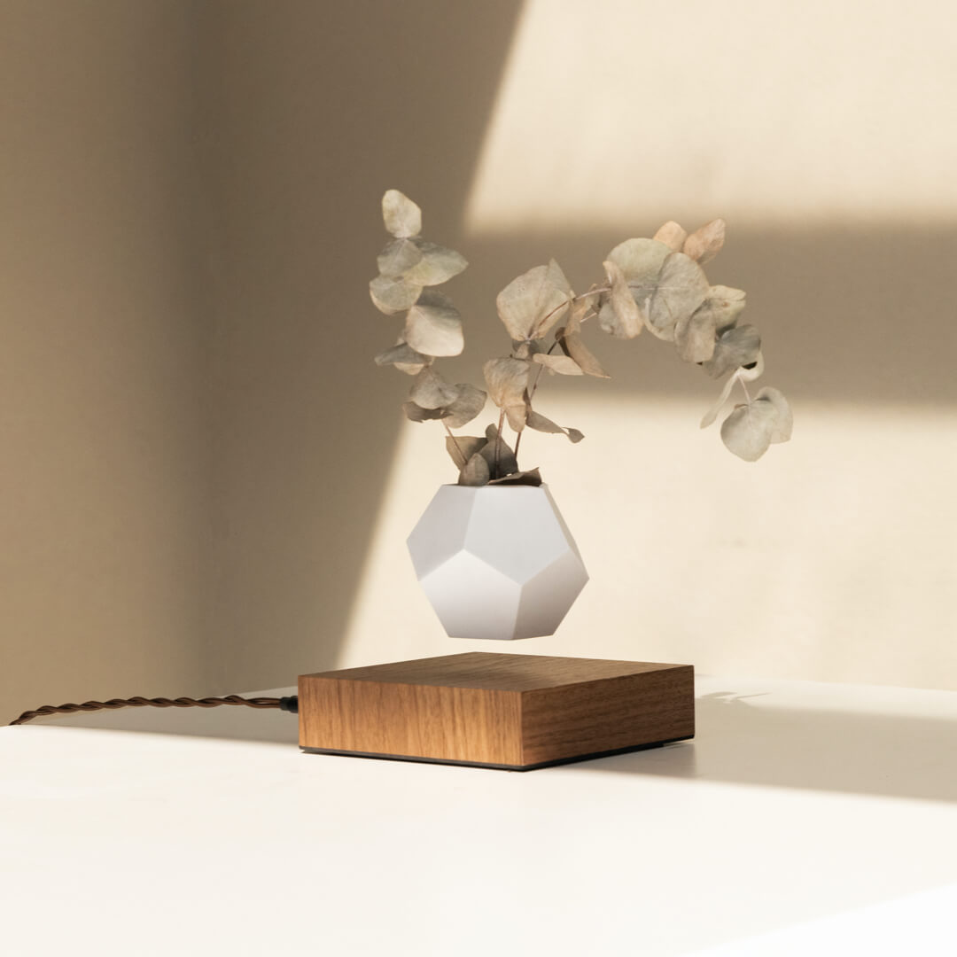 Levitating planter Lyfe, walnut wood version in a sunny setting